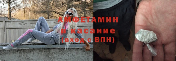 молекула духа Арсеньев