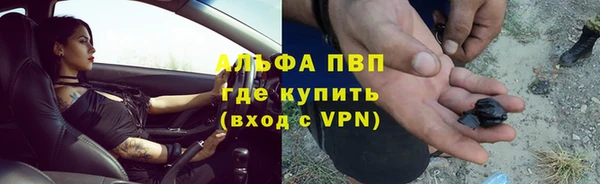 молекула духа Арсеньев