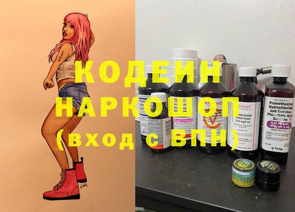 молекула духа Арсеньев