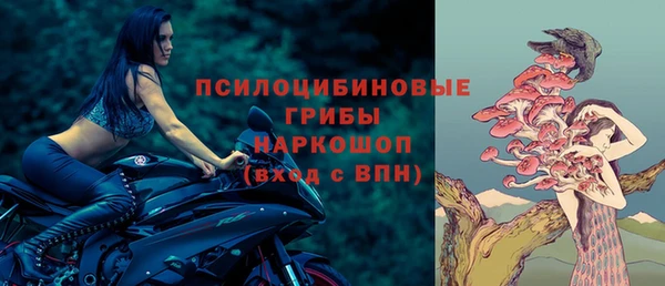 молекула духа Арсеньев