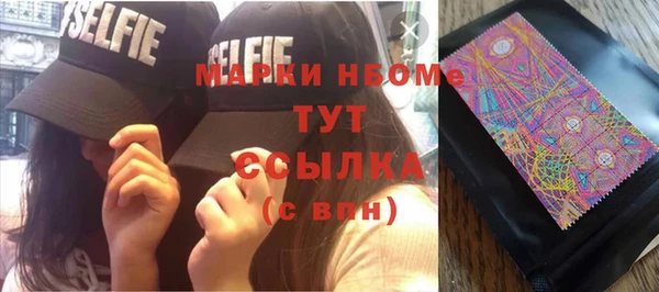 молекула духа Арсеньев