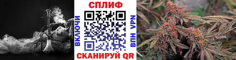 Марихуана сатива  МЕГА зеркало  Балахна 